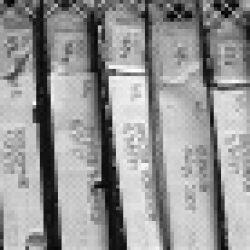 spines of boxes with vintage 1950s audio tape from Poetry Center archive